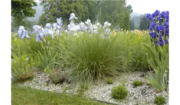 Gartenbaumschule Becker