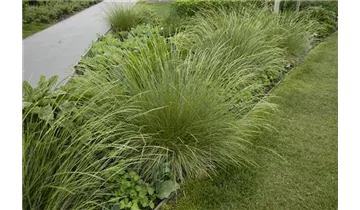 Gartenbaumschule Becker