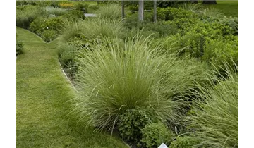 Gartenbaumschule Becker