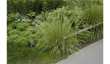 Gartenbaumschule Becker