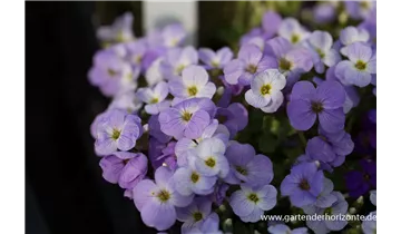 Gartenbaumschule Becker