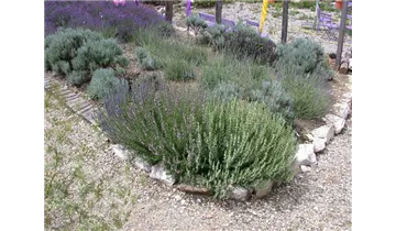 Gartenbaumschule Becker