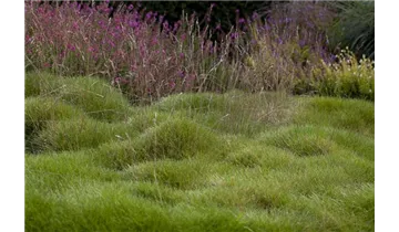 Gartenbaumschule Becker