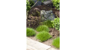 Gartenbaumschule Becker