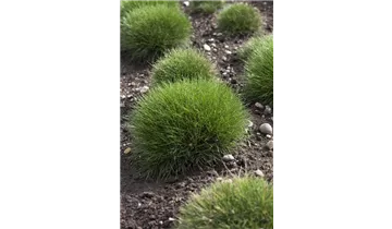 Gartenbaumschule Becker