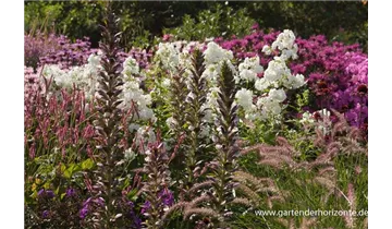 Gartenbaumschule Becker
