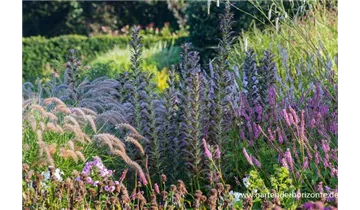 Gartenbaumschule Becker