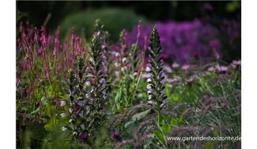 Gartenbaumschule Becker