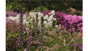 Gartenbaumschule Becker