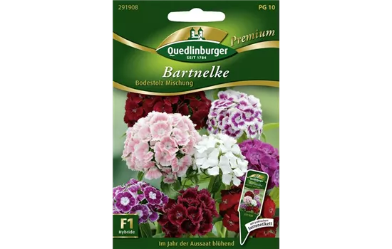 Bartnelkensamen 'Bodestolz'