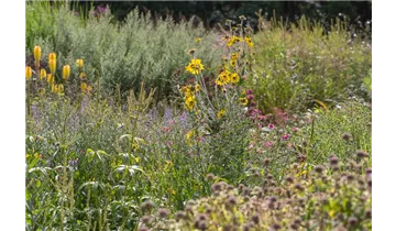 Gartenbaumschule Becker