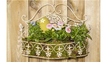 Gartenbaumschule Becker