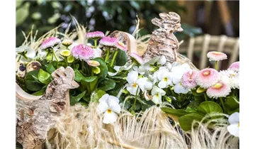 Gartenbaumschule Becker