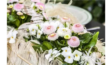 Gartenbaumschule Becker