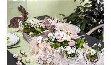 Gartenbaumschule Becker