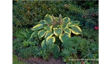 Gartenbaumschule Becker