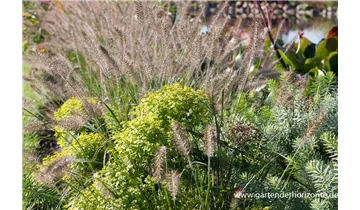Gartenbaumschule Becker