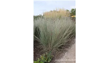 Gartenbaumschule Becker