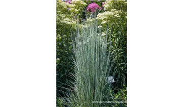 Gartenbaumschule Becker