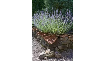 Gartenbaumschule Becker