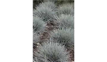 Gartenbaumschule Becker