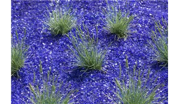 Gartenbaumschule Becker