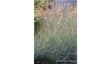 Gartenbaumschule Becker