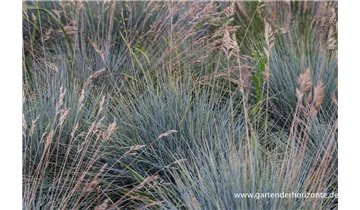 Gartenbaumschule Becker
