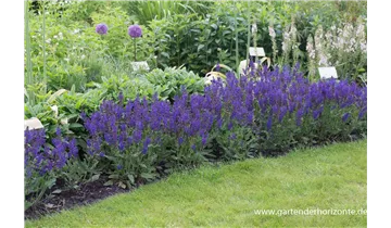 Gartenbaumschule Becker