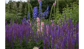 Gartenbaumschule Becker