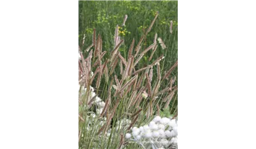 Gartenbaumschule Becker