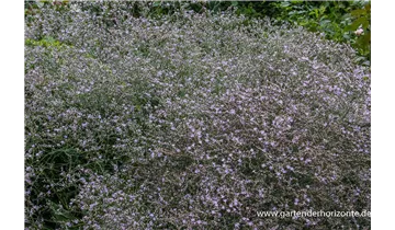 Gartenbaumschule Becker