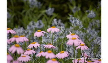 Gartenbaumschule Becker