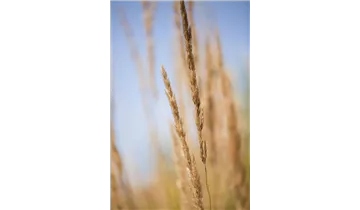 Gartenbaumschule Becker