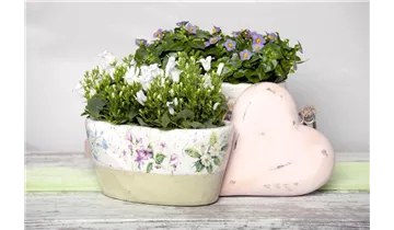 Gartenbaumschule Becker