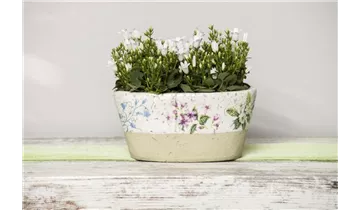 Gartenbaumschule Becker