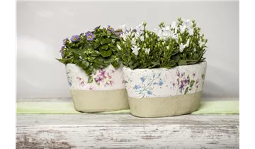 Gartenbaumschule Becker