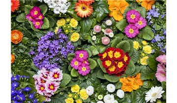 Gartenbaumschule Becker