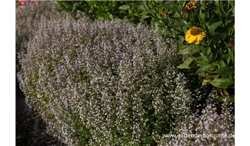 Gartenbaumschule Becker