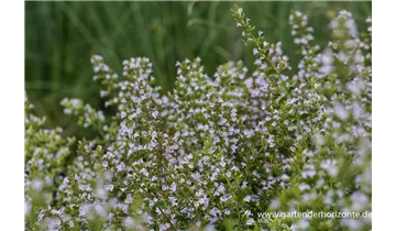 Gartenbaumschule Becker