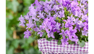 Gartenbaumschule Becker