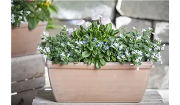 Gartenbaumschule Becker