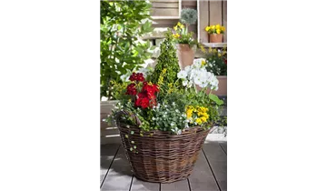 Gartenbaumschule Becker