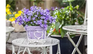 Gartenbaumschule Becker