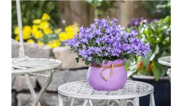 Gartenbaumschule Becker