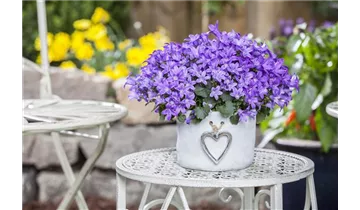 Gartenbaumschule Becker