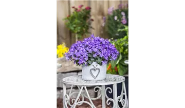 Gartenbaumschule Becker