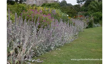 Gartenbaumschule Becker