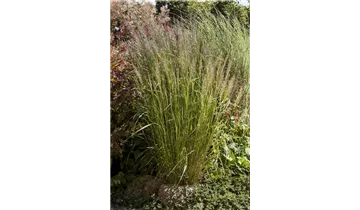 Gartenbaumschule Becker