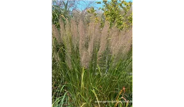 Gartenbaumschule Becker